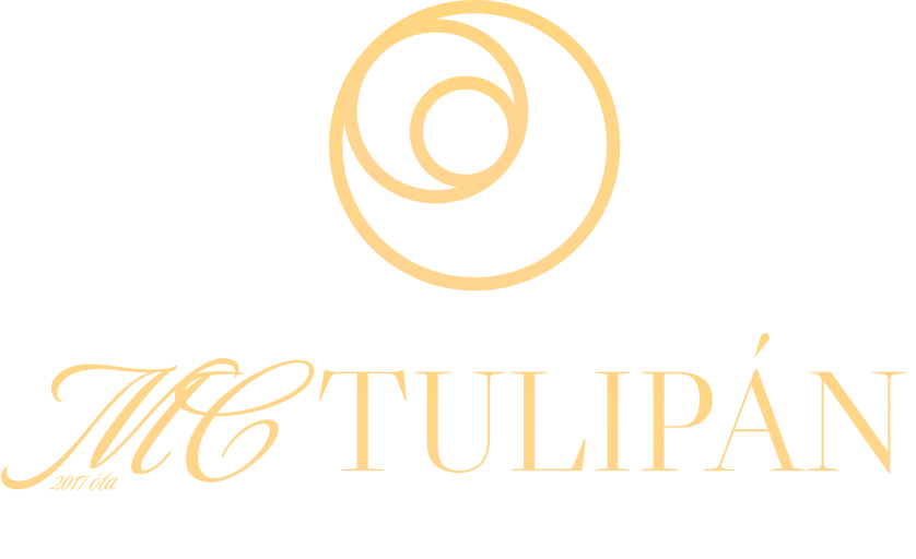Main Logo